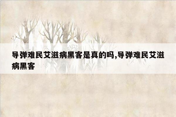 导弹难民艾滋病黑客是真的吗,导弹难民艾滋病黑客