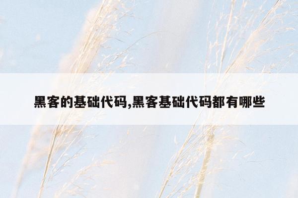 黑客的基础代码,黑客基础代码都有哪些