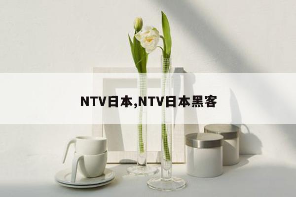 NTV日本,NTV日本黑客