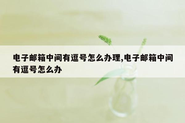 电子邮箱中间有逗号怎么办理,电子邮箱中间有逗号怎么办