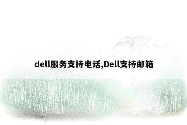 dell服务支持电话,Dell支持邮箱