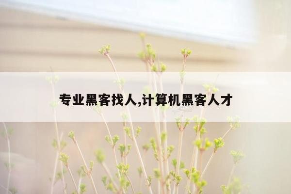 专业黑客找人,计算机黑客人才