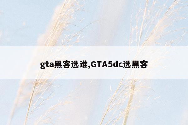 gta黑客选谁,GTA5dc选黑客