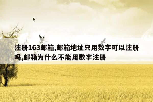 注册163邮箱,邮箱地址只用数字可以注册吗,邮箱为什么不能用数字注册