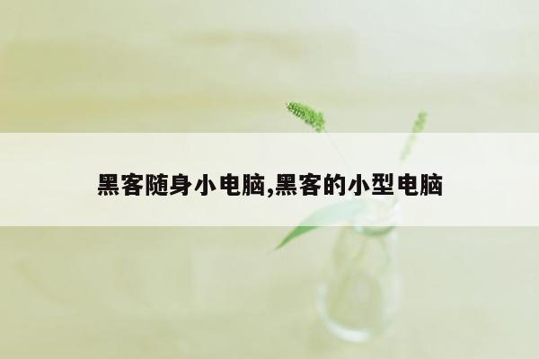 黑客随身小电脑,黑客的小型电脑