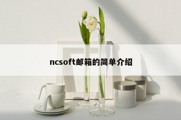 ncsoft邮箱的简单介绍