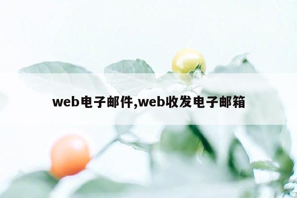 web电子邮件,web收发电子邮箱