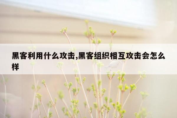 黑客利用什么攻击,黑客组织相互攻击会怎么样