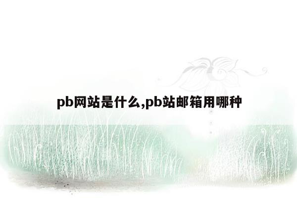 pb网站是什么,pb站邮箱用哪种