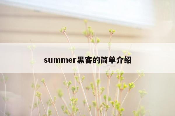 summer黑客的简单介绍