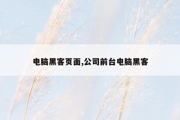 电脑黑客页面,公司前台电脑黑客