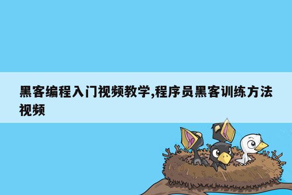 黑客编程入门视频教学,程序员黑客训练方法视频