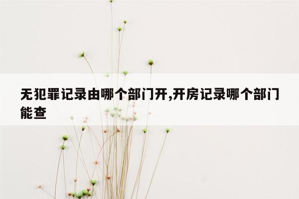 无犯罪记录由哪个部门开,开房记录哪个部门能查