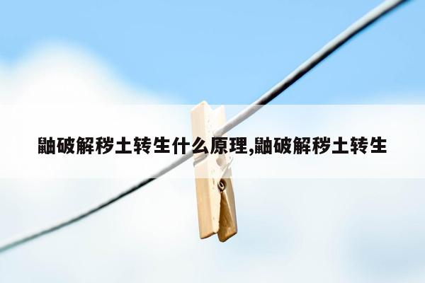 鼬破解秽土转生什么原理,鼬破解秽土转生