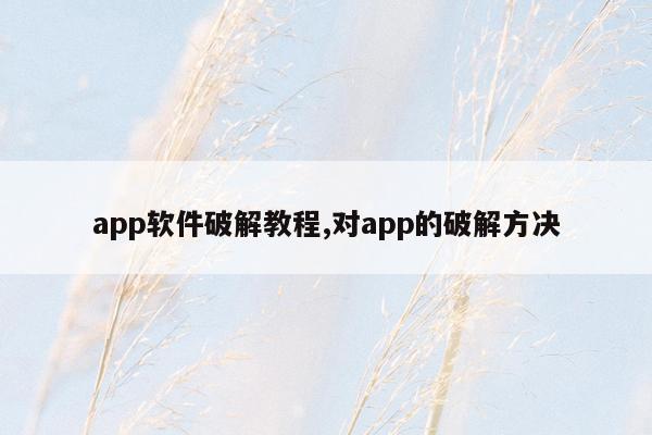 app软件破解教程,对app的破解方决