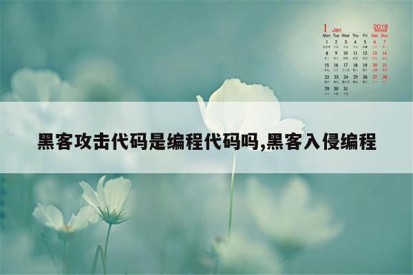 黑客攻击代码是编程代码吗,黑客入侵编程