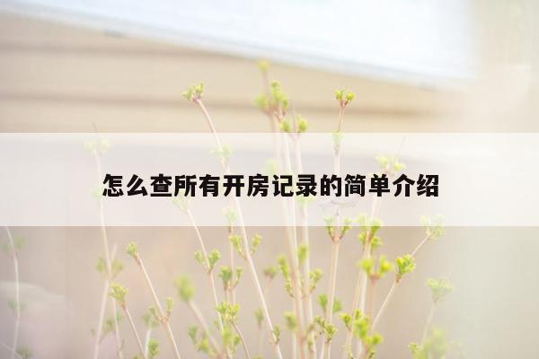 怎么查所有开房记录的简单介绍