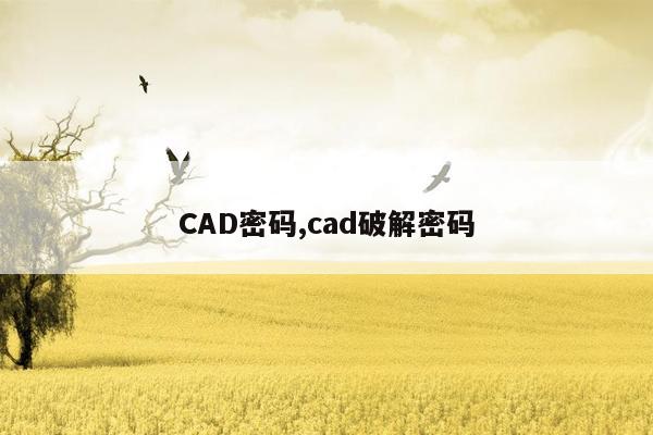CAD密码,cad破解密码