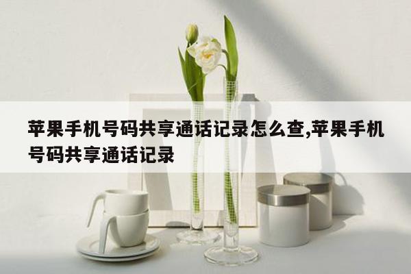 苹果手机号码共享通话记录怎么查,苹果手机号码共享通话记录