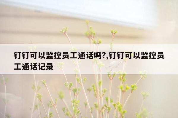 钉钉可以监控员工通话吗?,钉钉可以监控员工通话记录