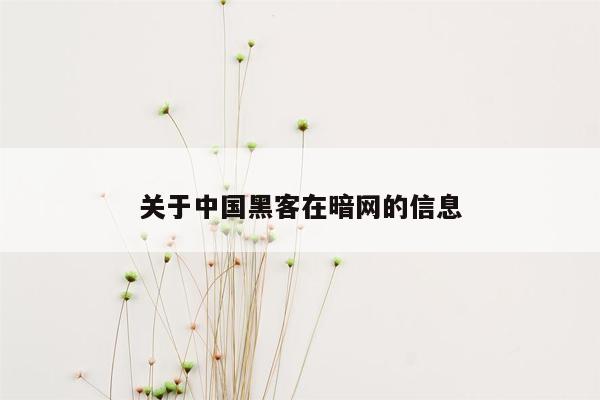 关于中国黑客在暗网的信息