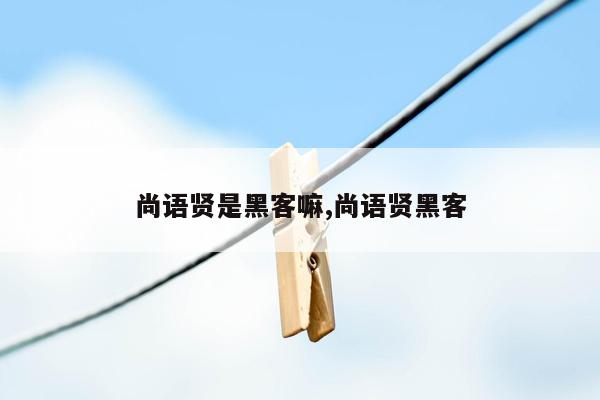 尚语贤是黑客嘛,尚语贤黑客