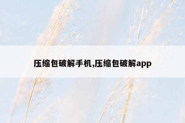 压缩包破解手机,压缩包破解app