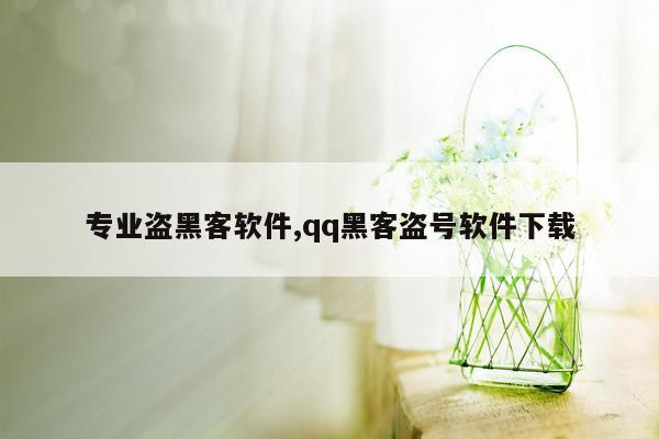 专业盗黑客软件,qq黑客盗号软件下载