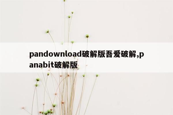 pandownload破解版吾爱破解,panabit破解版