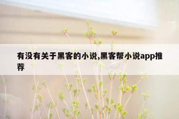 有没有关于黑客的小说,黑客帮小说app推荐