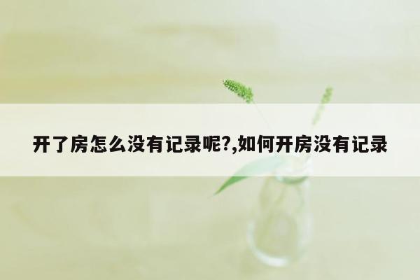 开了房怎么没有记录呢?,如何开房没有记录