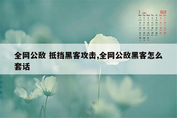 全网公敌 抵挡黑客攻击,全网公敌黑客怎么套话