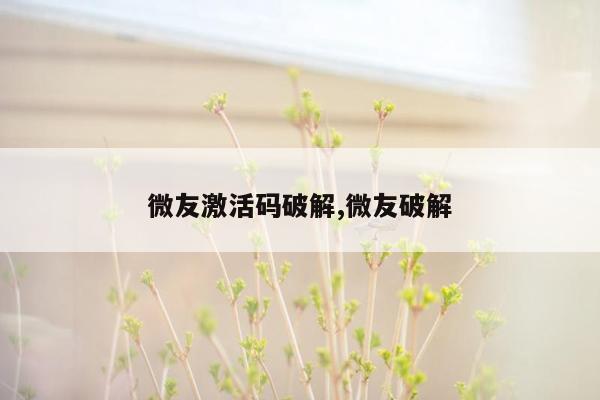 微友激活码破解,微友破解