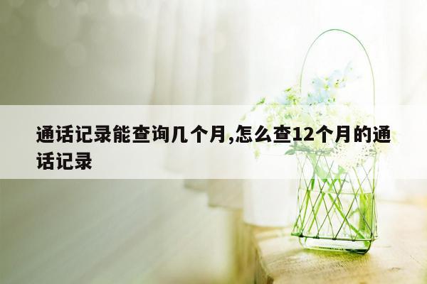 通话记录能查询几个月,怎么查12个月的通话记录