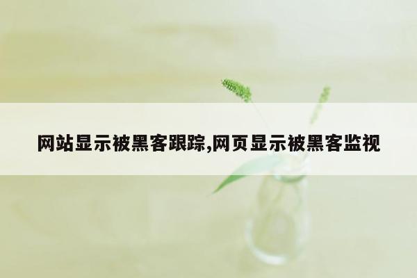 网站显示被黑客跟踪,网页显示被黑客监视