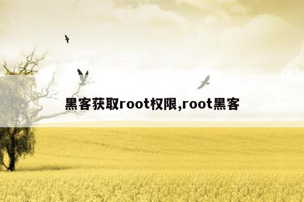 黑客获取root权限,root黑客