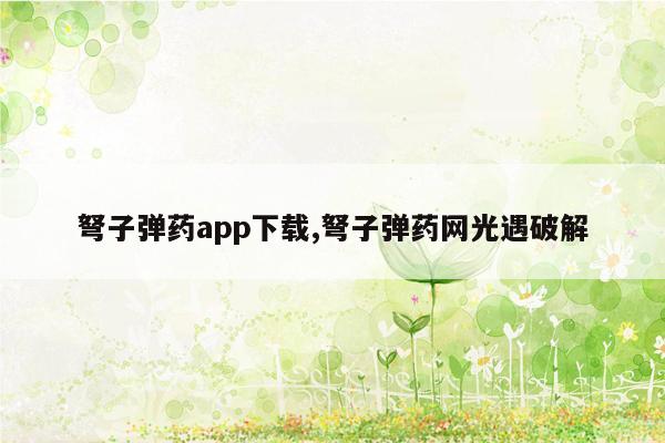 弩子弹药app下载,弩子弹药网光遇破解