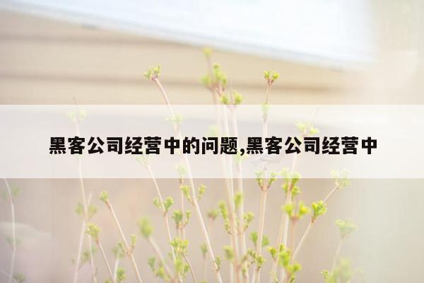 黑客公司经营中的问题,黑客公司经营中