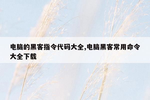 电脑的黑客指令代码大全,电脑黑客常用命令大全下载