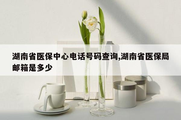 湖南省医保中心电话号码查询,湖南省医保局邮箱是多少