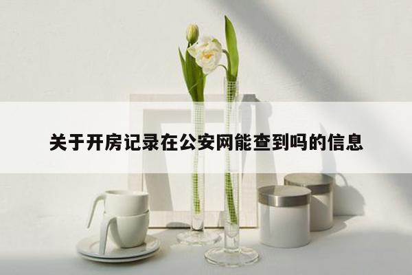 关于开房记录在公安网能查到吗的信息