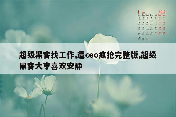 超级黑客找工作,遭ceo疯抢完整版,超级黑客大亨喜欢安静