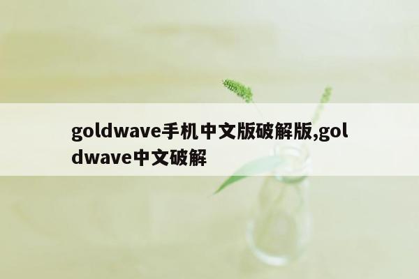 goldwave手机中文版破解版,goldwave中文破解