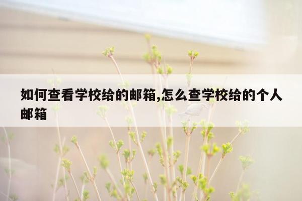 如何查看学校给的邮箱,怎么查学校给的个人邮箱