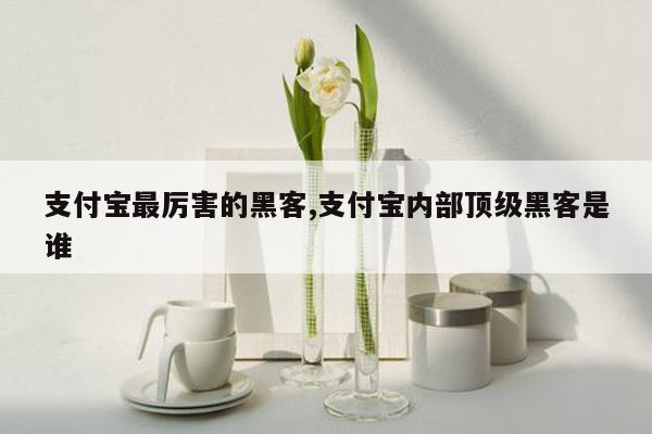 支付宝最厉害的黑客,支付宝内部顶级黑客是谁