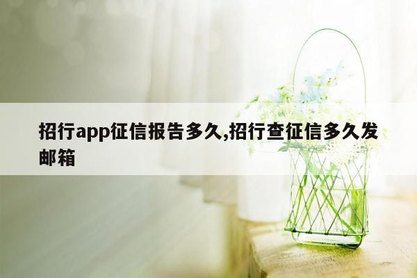 招行app征信报告多久,招行查征信多久发邮箱