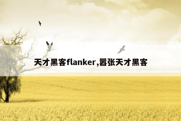 天才黑客flanker,嚣张天才黑客