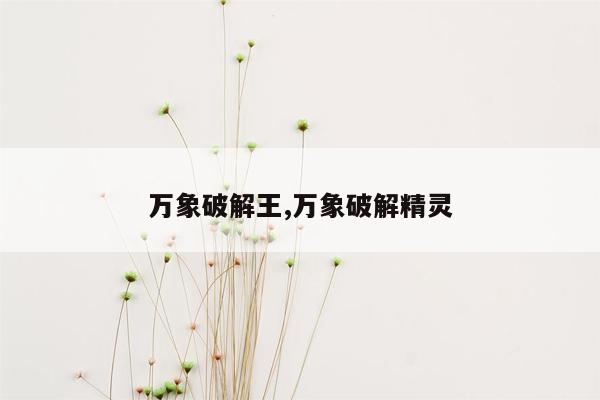 万象破解王,万象破解精灵