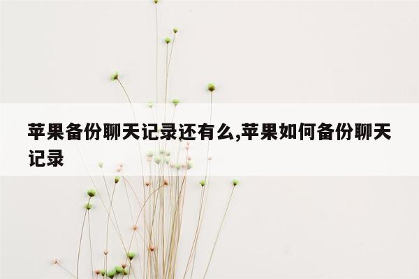 苹果备份聊天记录还有么,苹果如何备份聊天记录