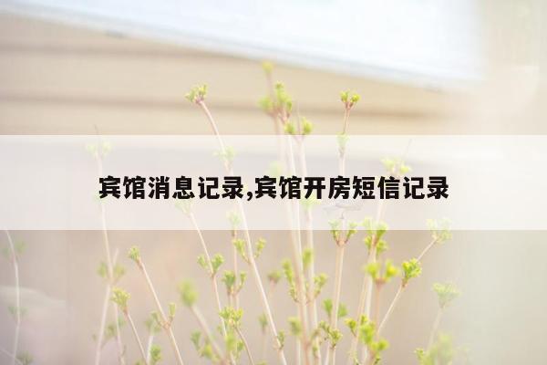 宾馆消息记录,宾馆开房短信记录